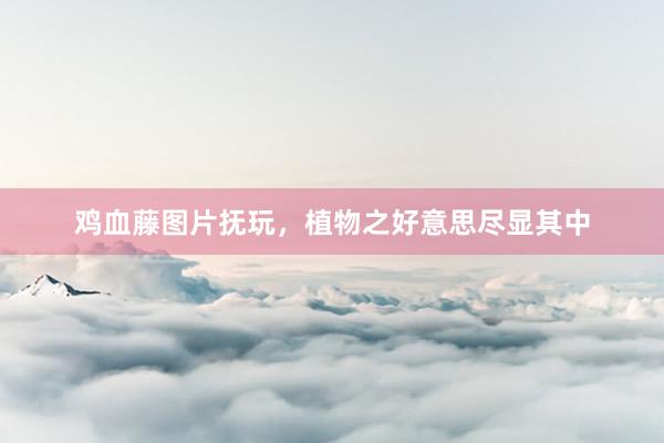 鸡血藤图片抚玩,植物之好意思尽显其中